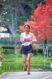 BIB: 8263
                            <button type="button" onclick="openModal(19239426)" class="btn btn-primary btn-sm float-right btn-popup" data-toggle="modal" data-target=".modal-high-quality">
                        <i class="fas fa-shopping-cart"></i> Add to Cart
                    </button>
                                            <button type="button" onclick="isThisMe(19239426, true)" class="btn btn-success btn-sm float-right btn-popup btn-isme hidden" data-toggle="tooltip" data-placement="bottom" title="นี่คือรูปของคุณใช่ไหม คลิกที่นี่เพื่อเอาเข้าอัลบั้ม">
                        <i class="fas fa-plus"></i> Add to album
                    </button>
                    <button type="button" onclick="isThisMe(19239426, false)" class="btn btn-warning btn-sm float-right btn-popup btn-isnotme hidden">
                        <i class="fas fa-ban"></i> Remove from album
                    </button>